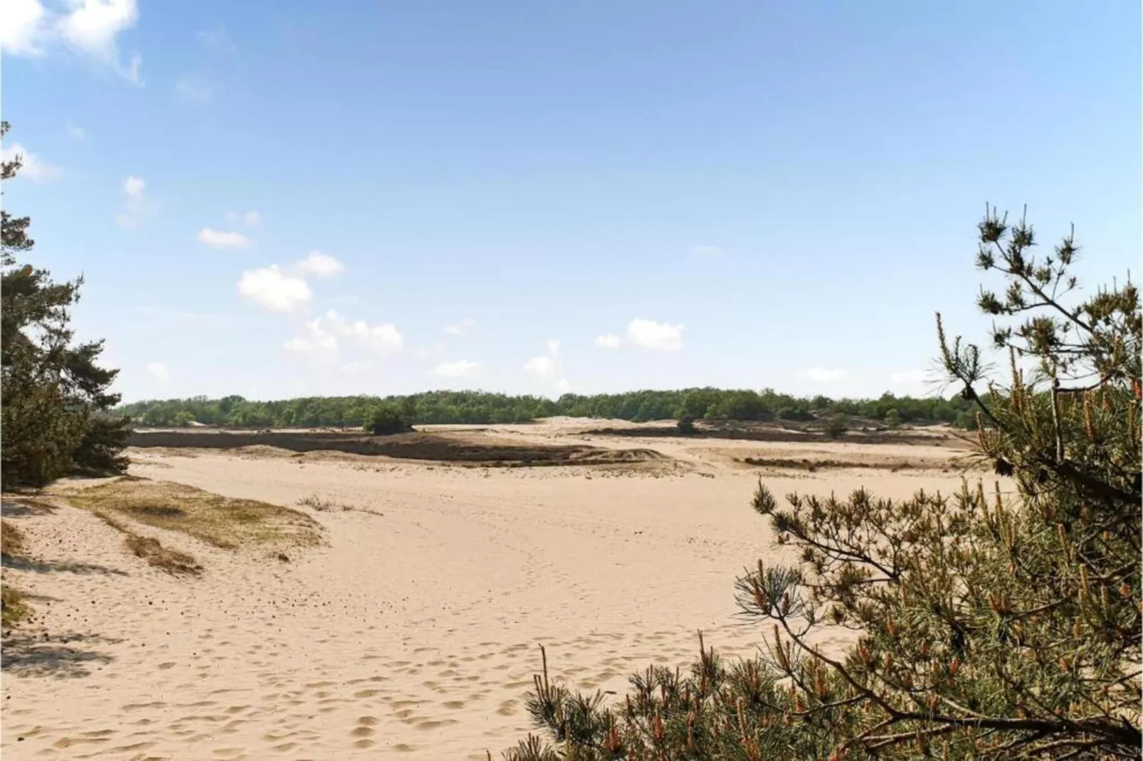 Recreatiepark Duinhoeve 11-Areas within 20km in summer