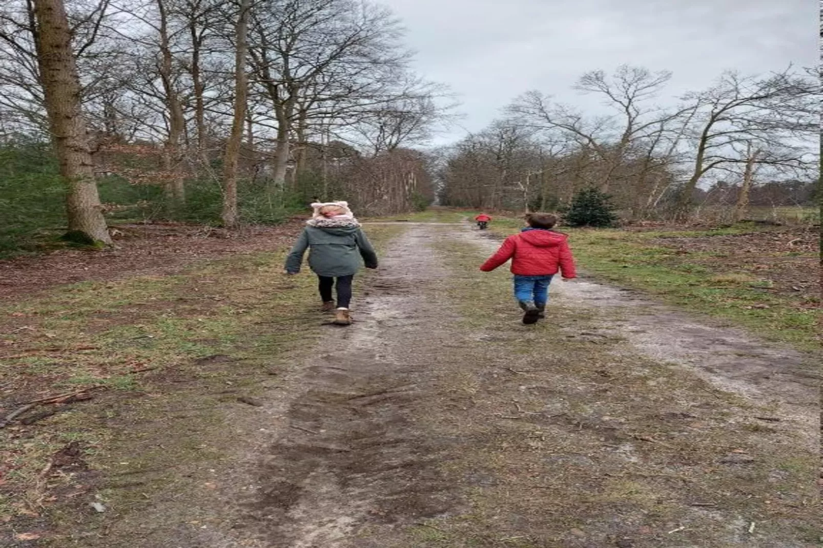 Parc de Kievit 2 - Gebiete Sommer 20 km