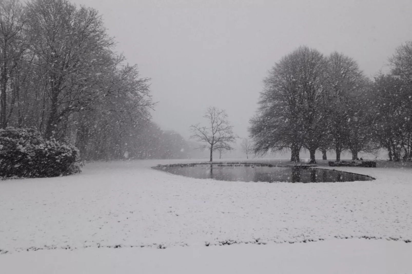 Parc de Kievit 9-Zones hiver à 20 km