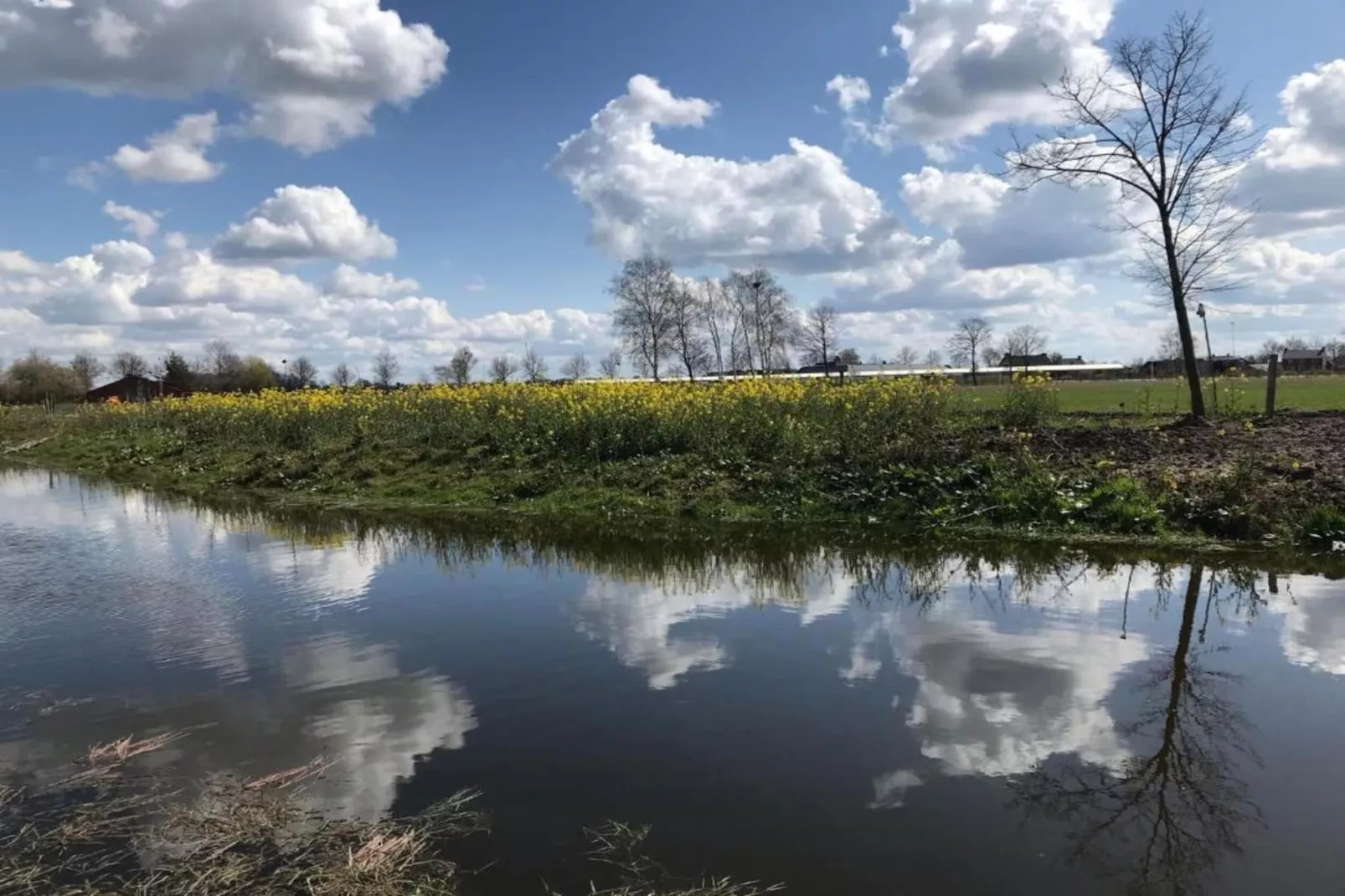 Vakantiepark Schaijk 5-Areas within 5km in summer