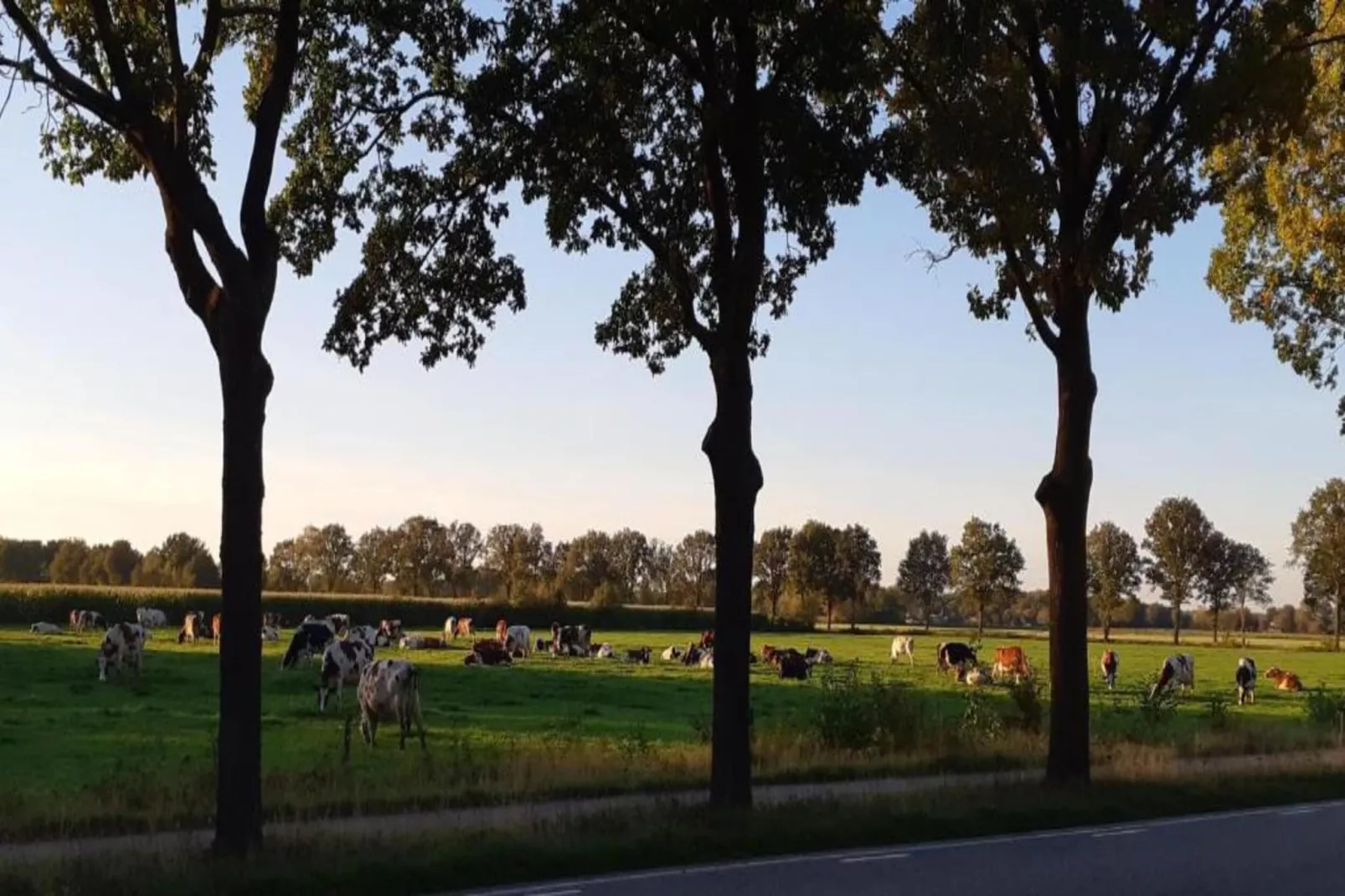 Vakantiepark Latour 2-Areas within 20km in summer
