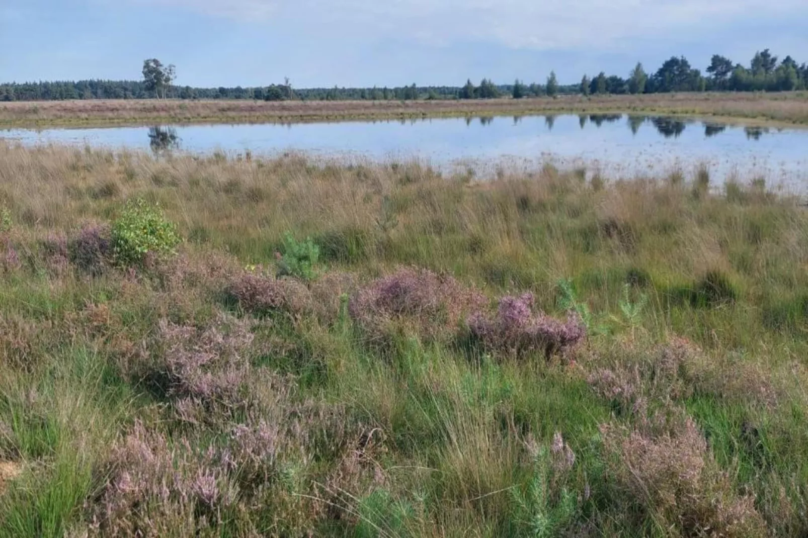 Park De Peel 2-Areas within 20km in summer