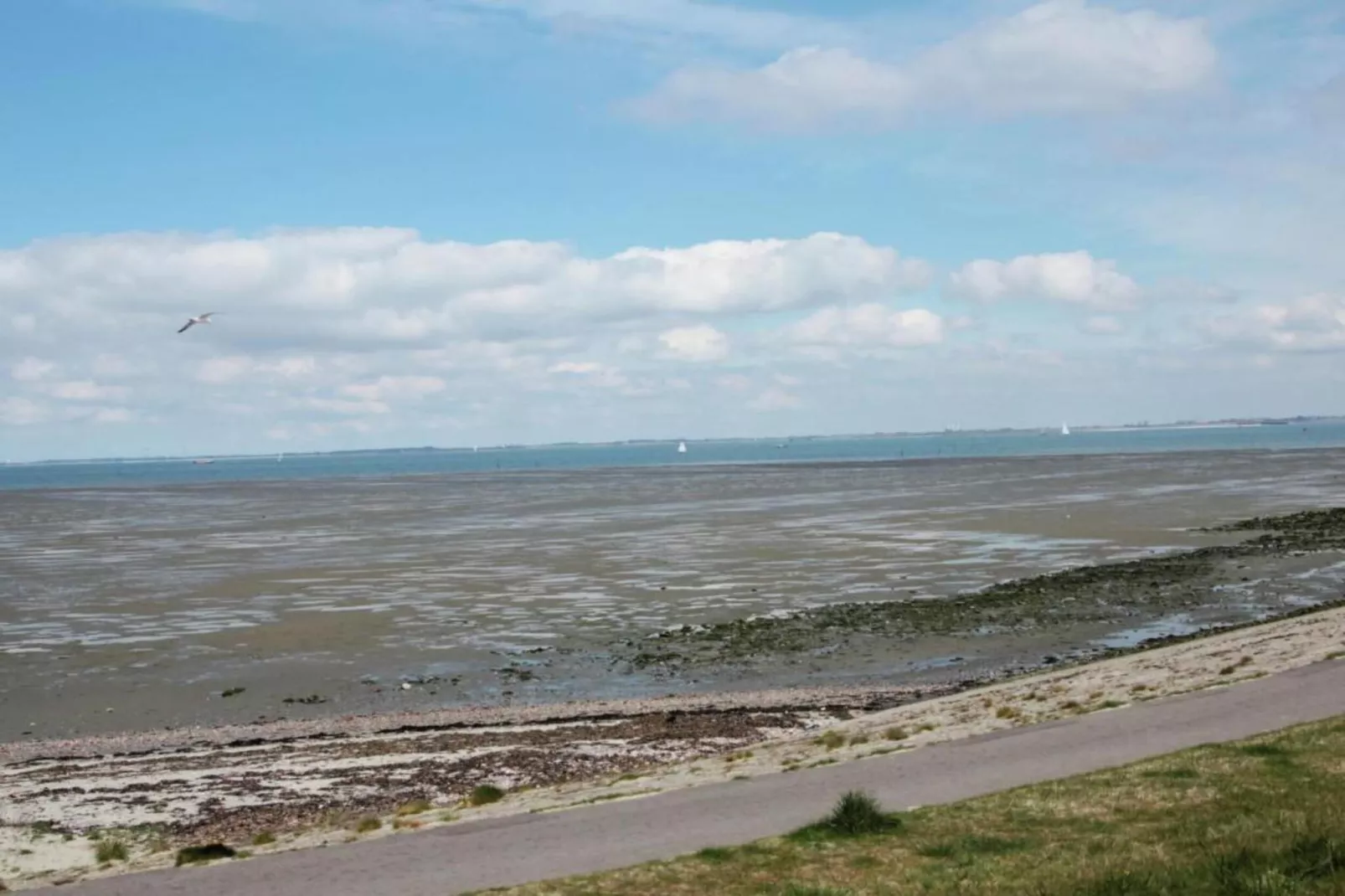 Sunny Oosterschelde-Areas within 5km in summer