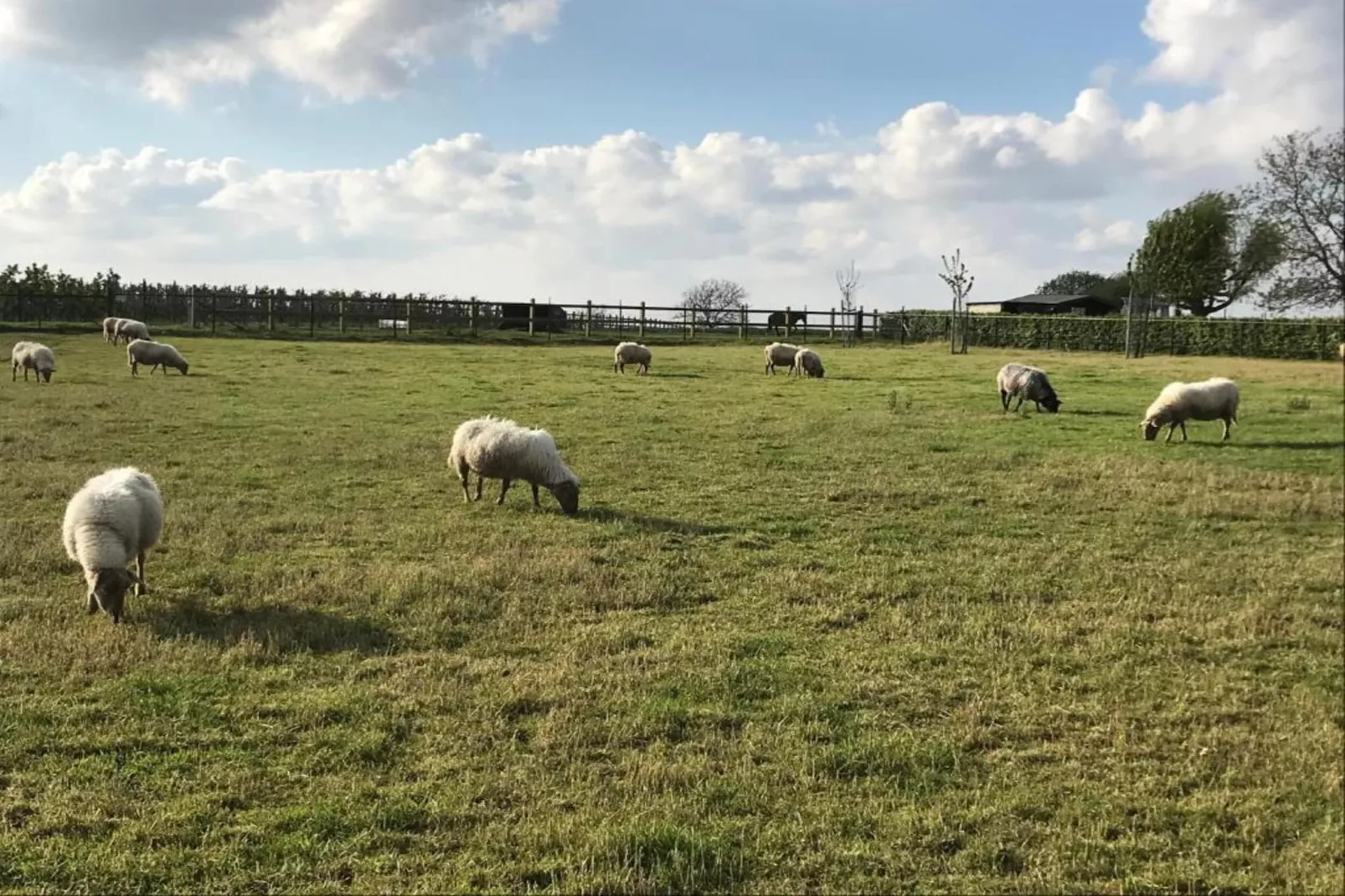 Hoeve A Gen Water - Botterblumke-Zones été à 20 km