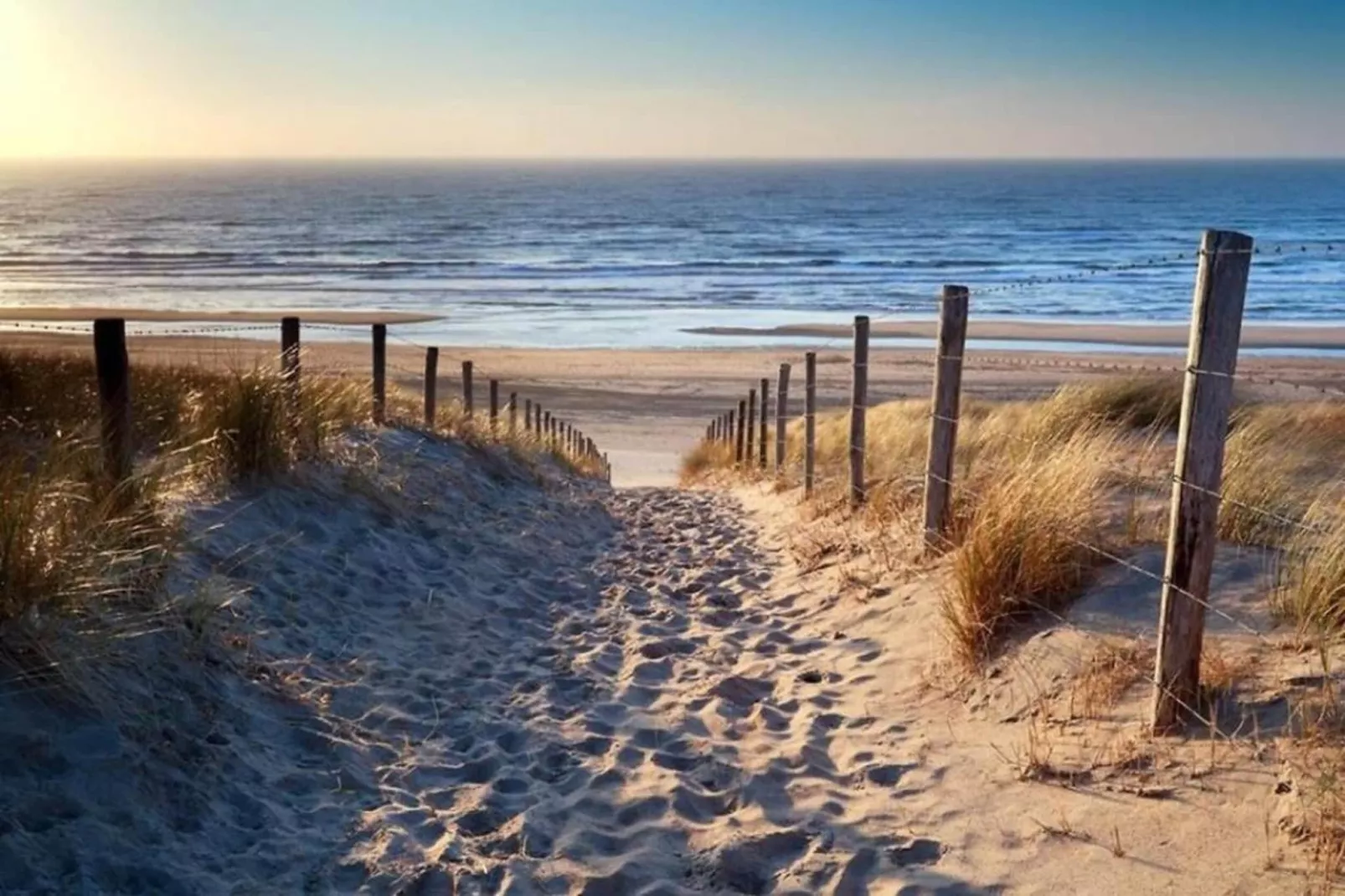 Huize Glory Amethist aan Zee-Areas within 20km in summer