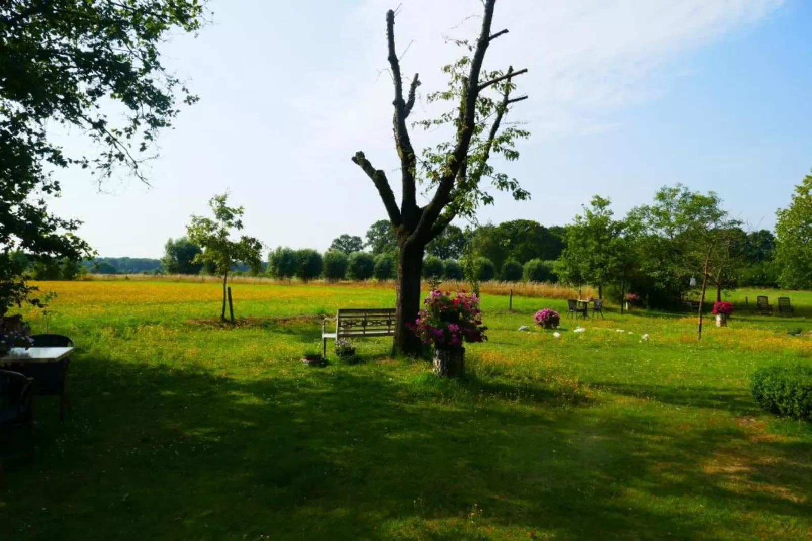 Recreatiebospark de Reehorst 1-Areas within 20km in summer