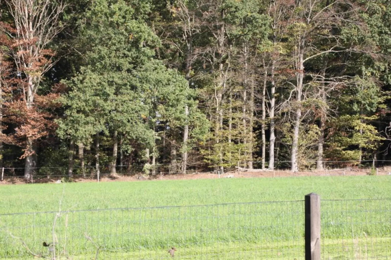 De ouwe diepvries-Areas within 20km in summer