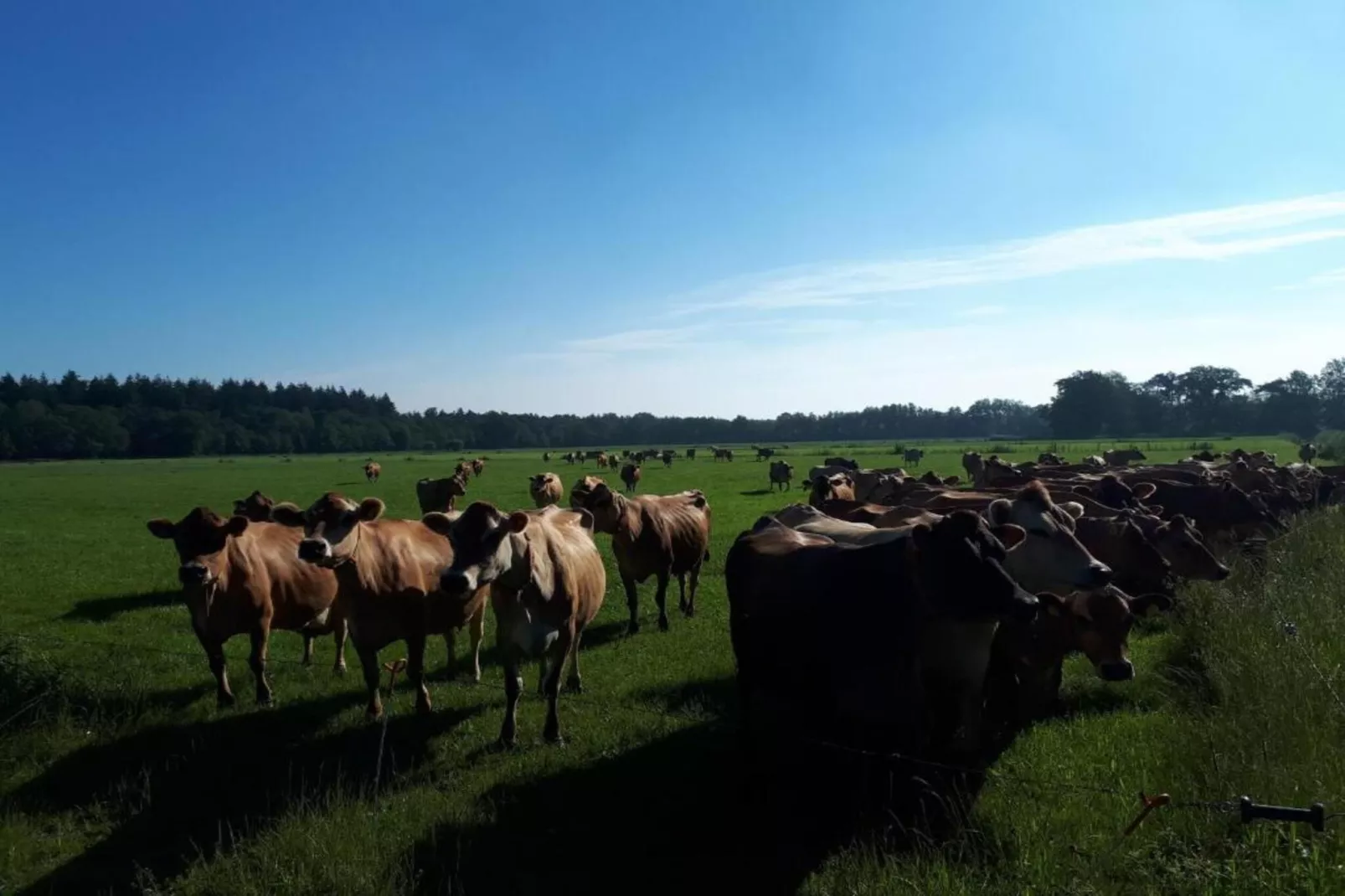 Buitenplaats Gerner 4-Areas within 20km in summer
