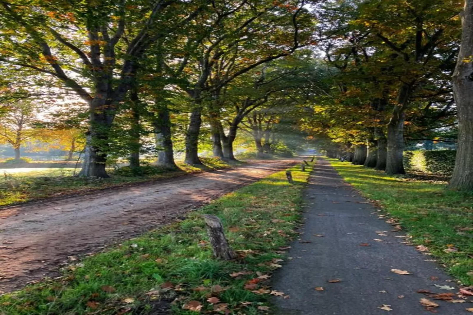 RCN Vakantiepark de Noordster 4-Gebiete Sommer 20 km