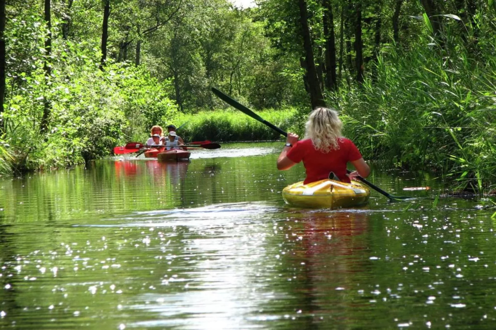Residence de Eese 13-Gebiete Sommer 20 km