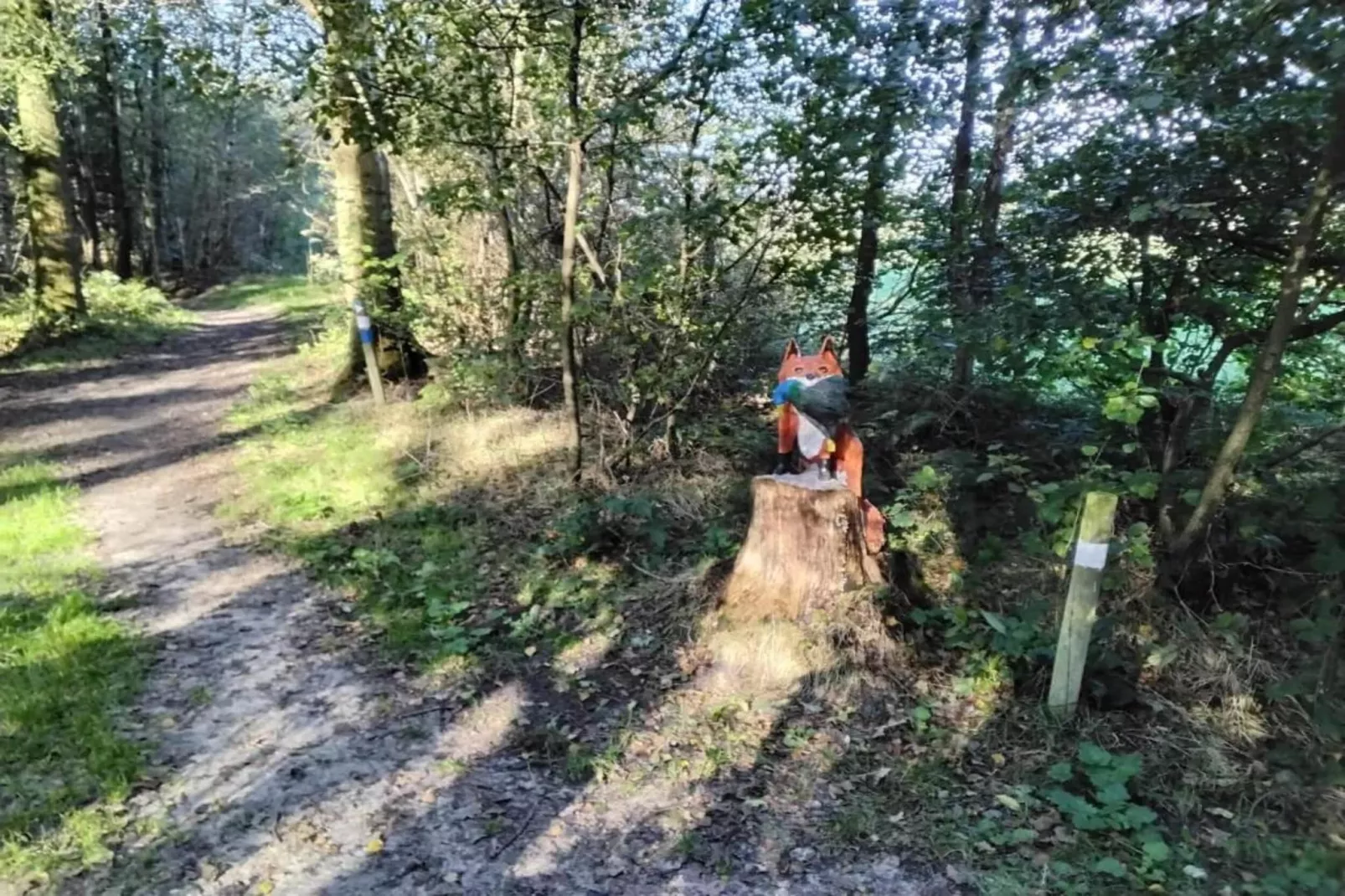 Landgoed Eysinga State 4-Areas within 20km in summer