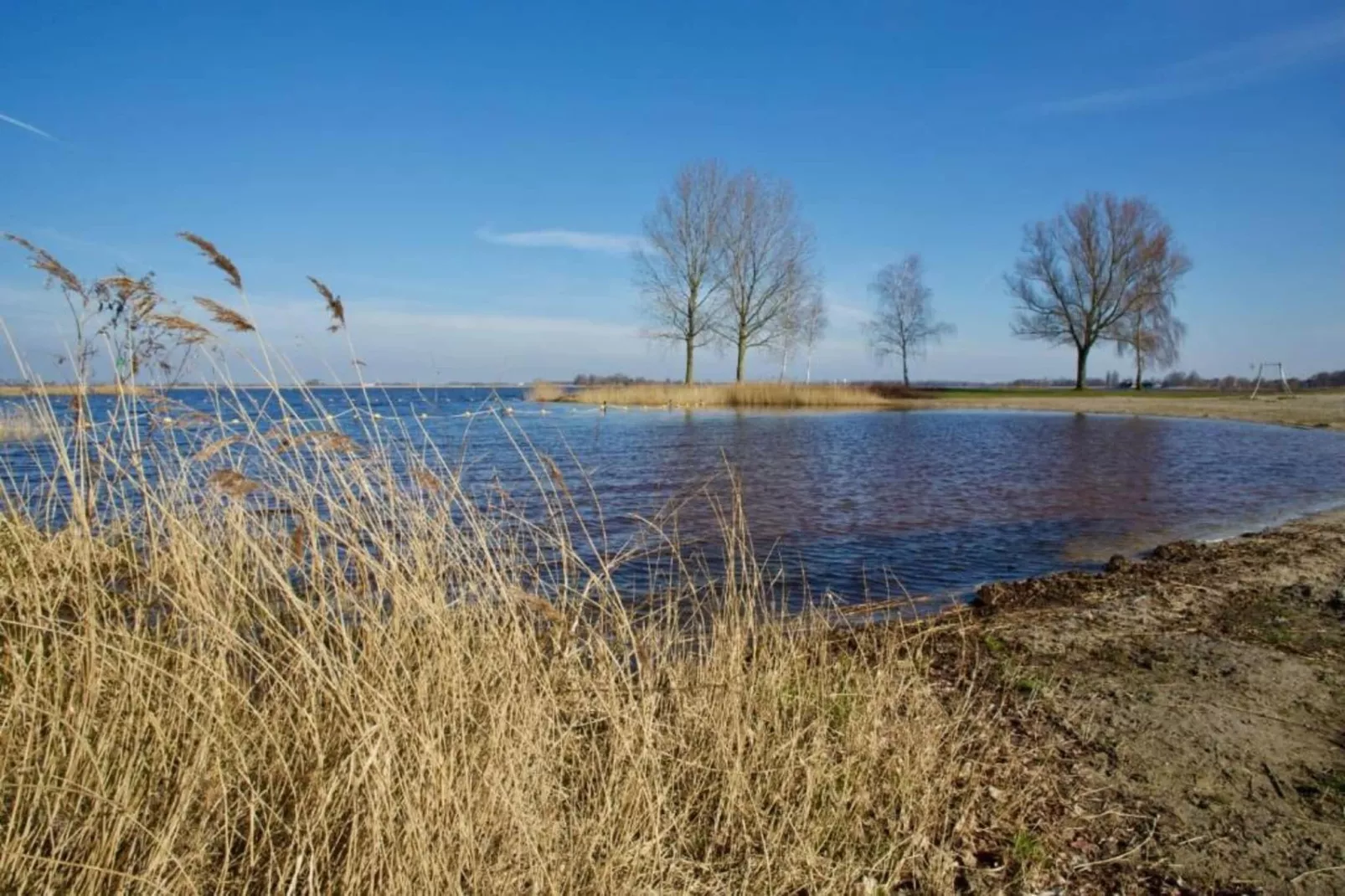 Scharsterlaan 9-Areas within 20km in summer