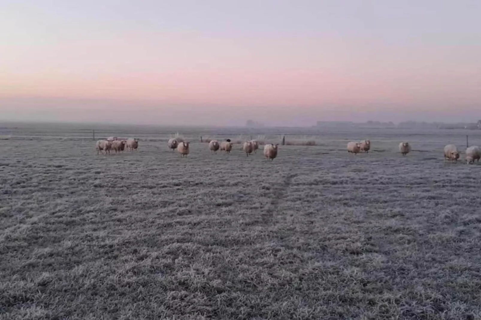 Landgoed Eysinga State 2-Areas within 20km in summer