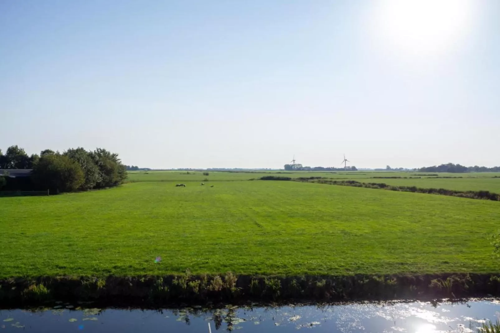 Pronkkeamer Skrins-Gebiete Sommer 5 km