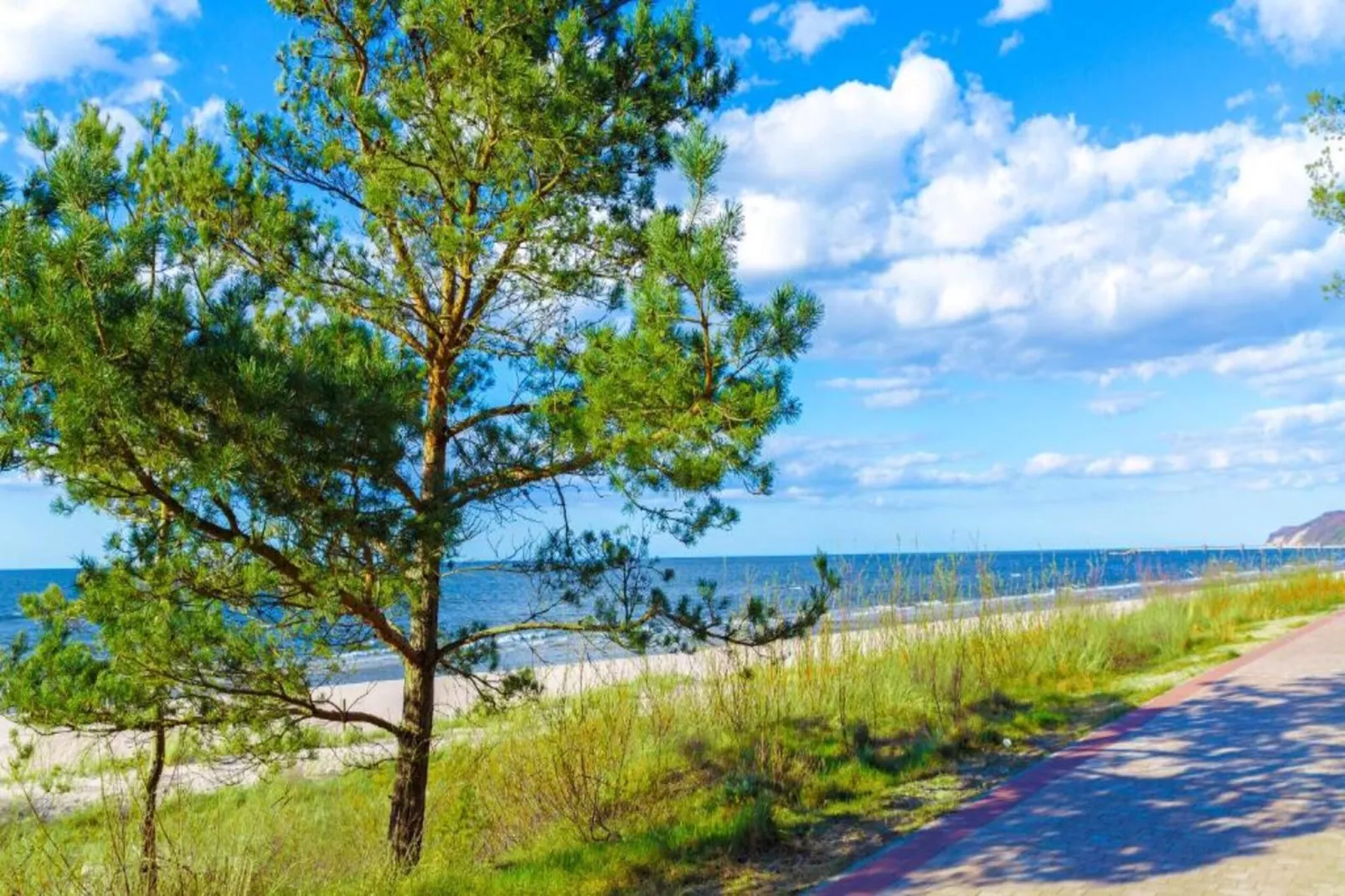 Kreacja Pajka Patrycja Pyrka-Areas within 20km in summer
