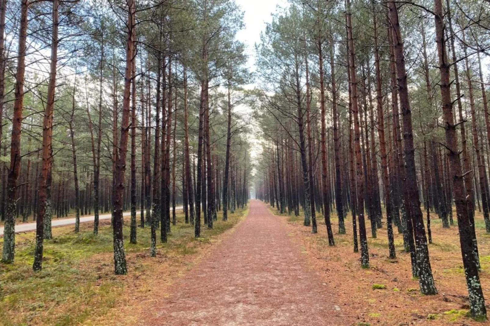 House among beautiful forests-Areas within 5km in summer