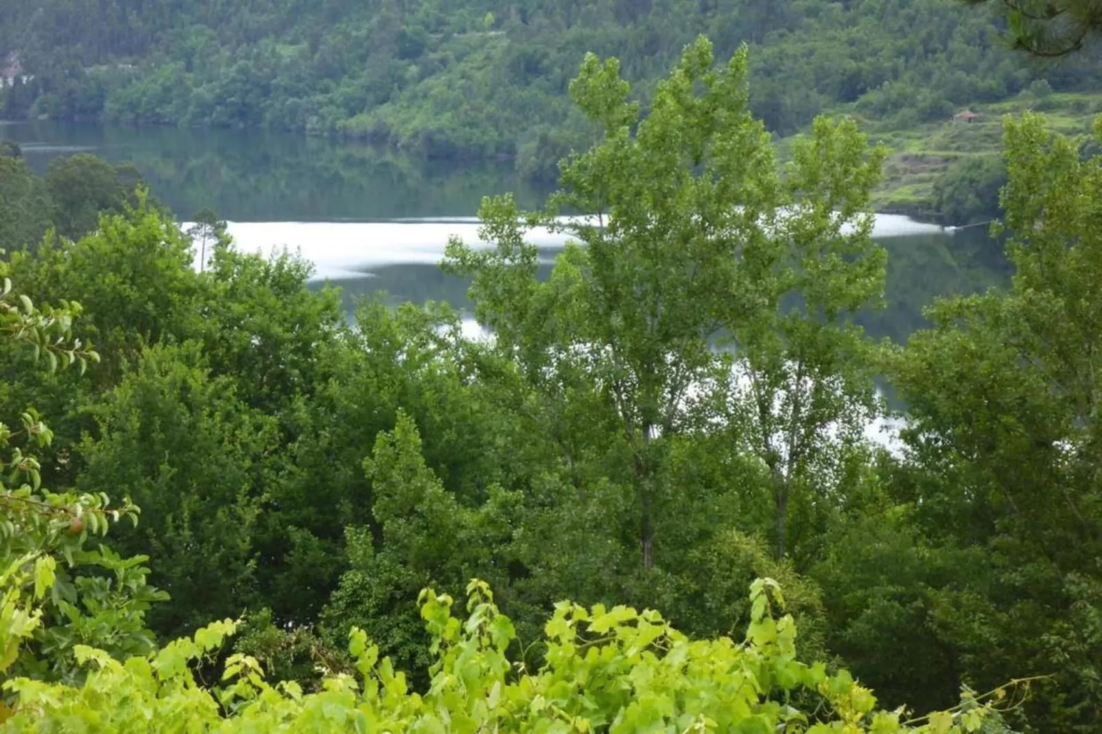 Casa das Laranjeiras-Gebiete Sommer 5 km