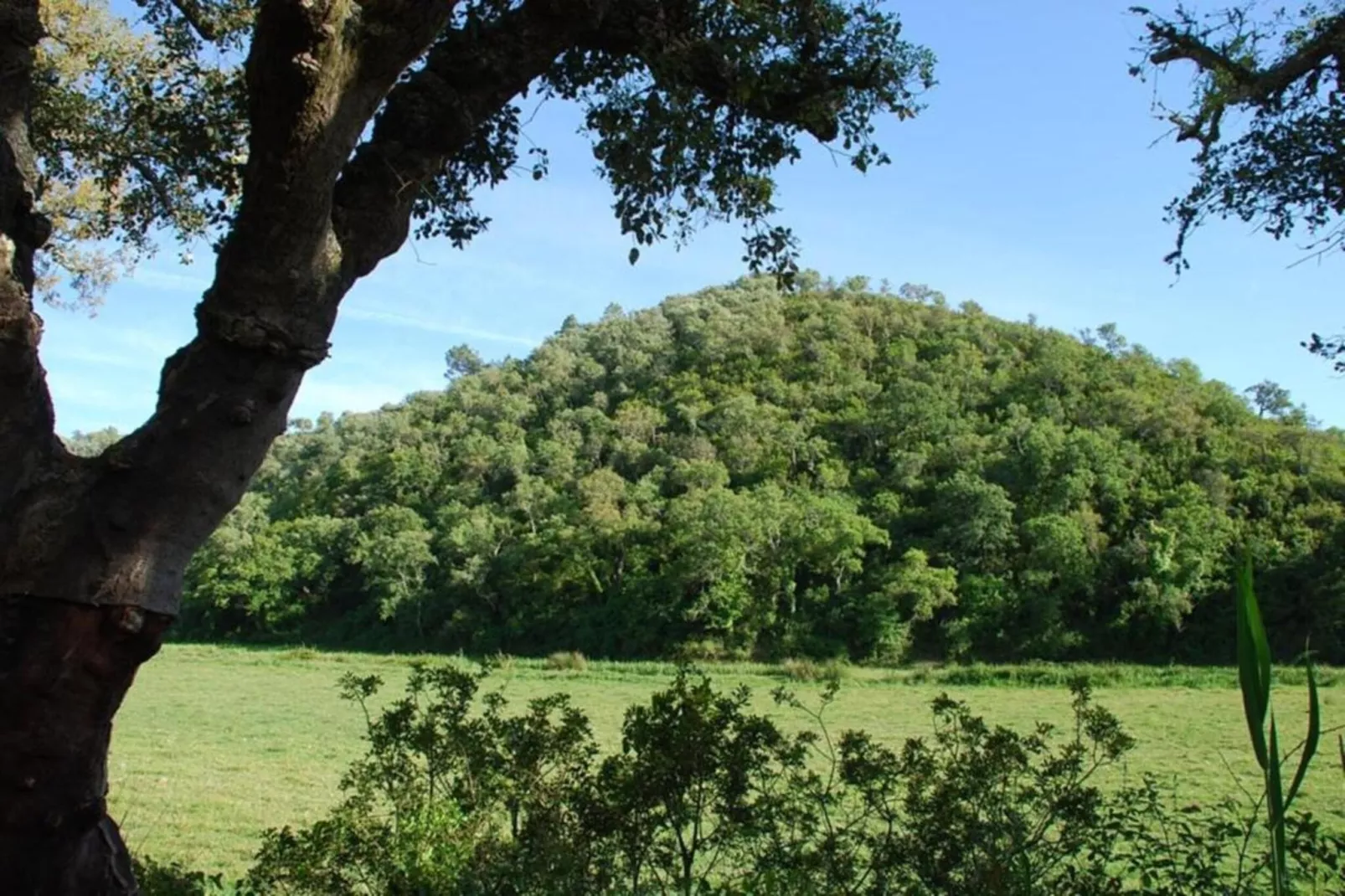 Casa da Adega-Zones été à 20 km