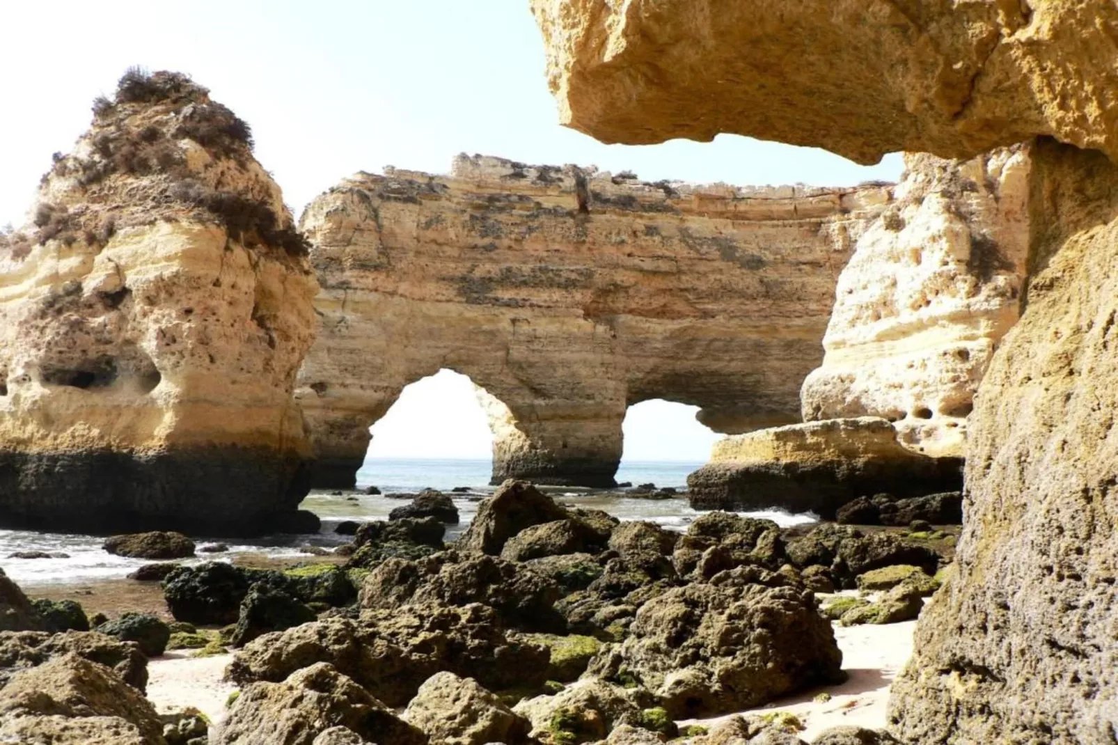 Montanha Vista-Areas within 20km in summer