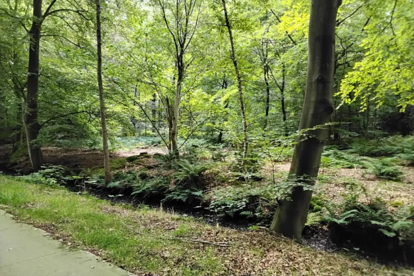 Recreatiepark Idskenhuizen 9-Areas within 20km in summer