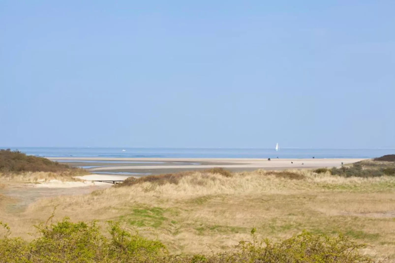 Vakantiepark Zeebad 14-Areas within 5km in summer