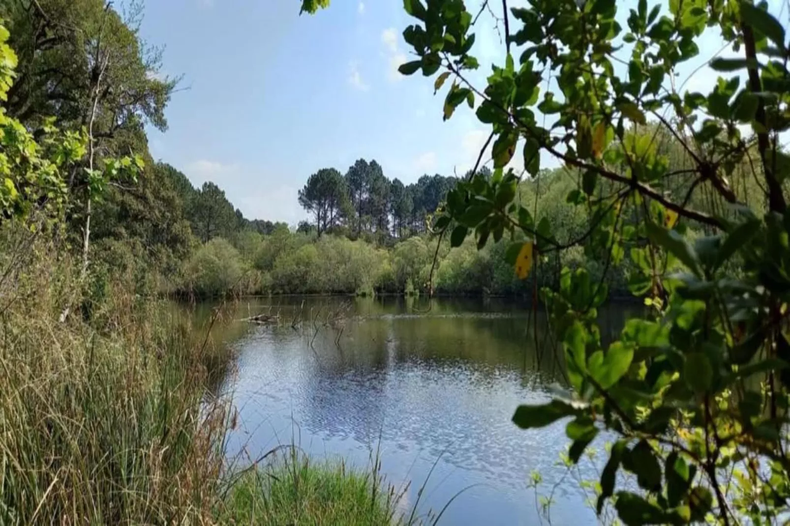 Villas Club Royal Aquitaine 3-Areas within 20km in summer