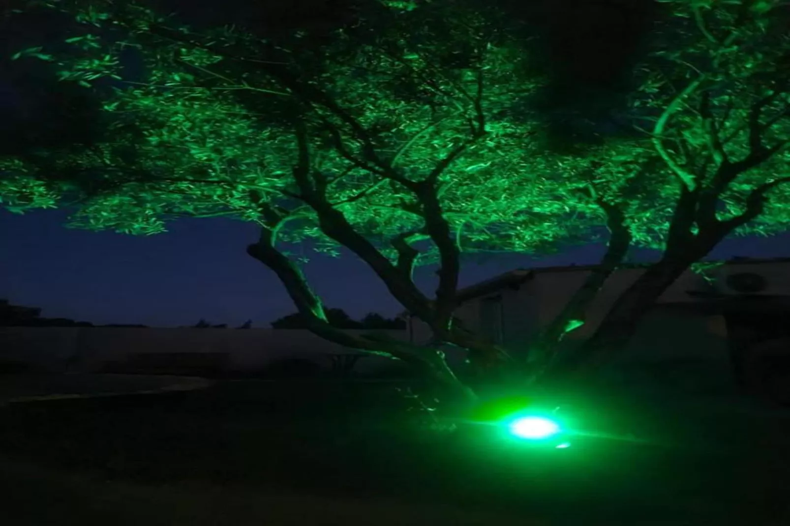 La Queue du Loup-Zones été à 20 km