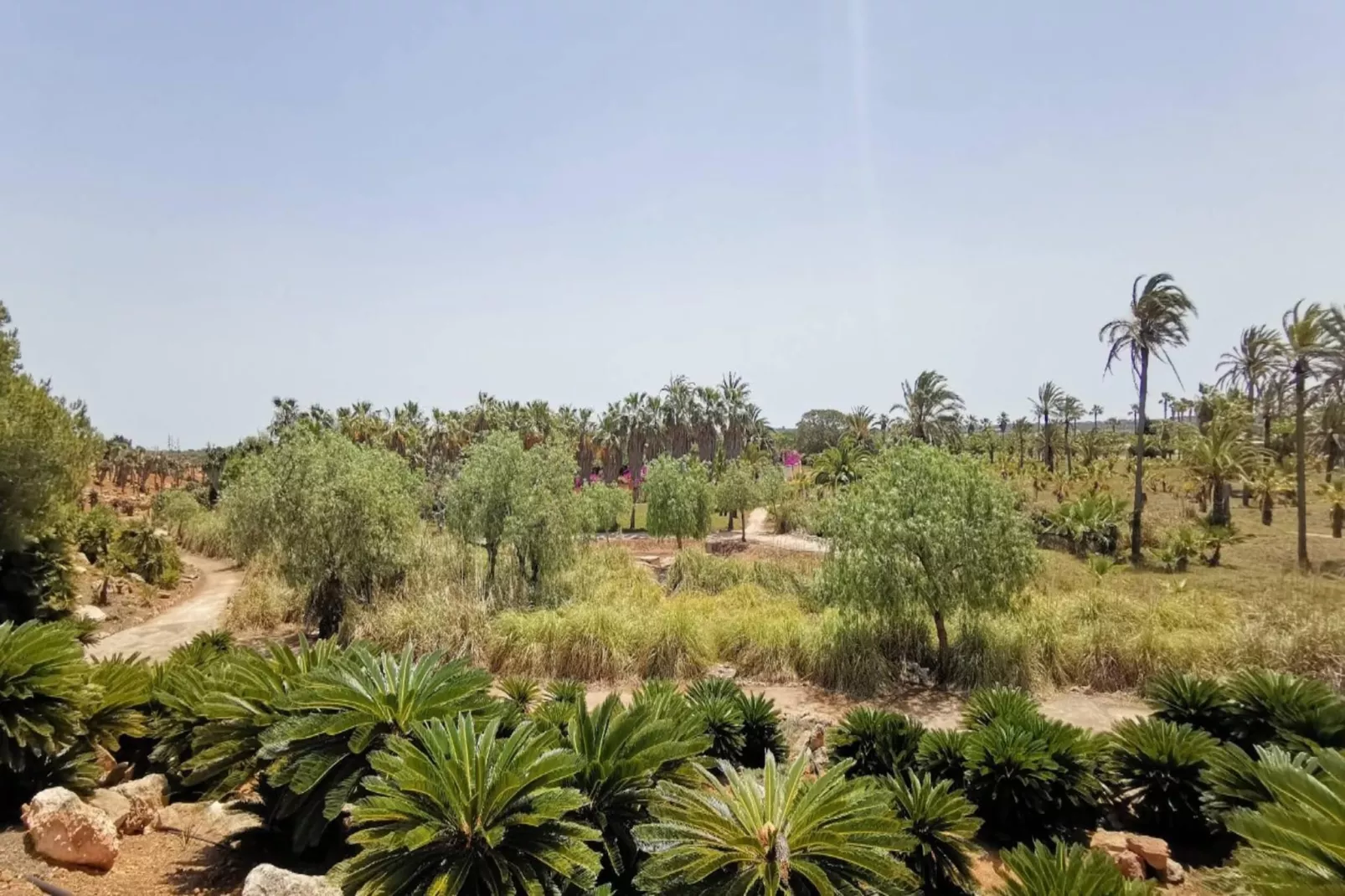 Can Xesquet-Areas within 5km in summer