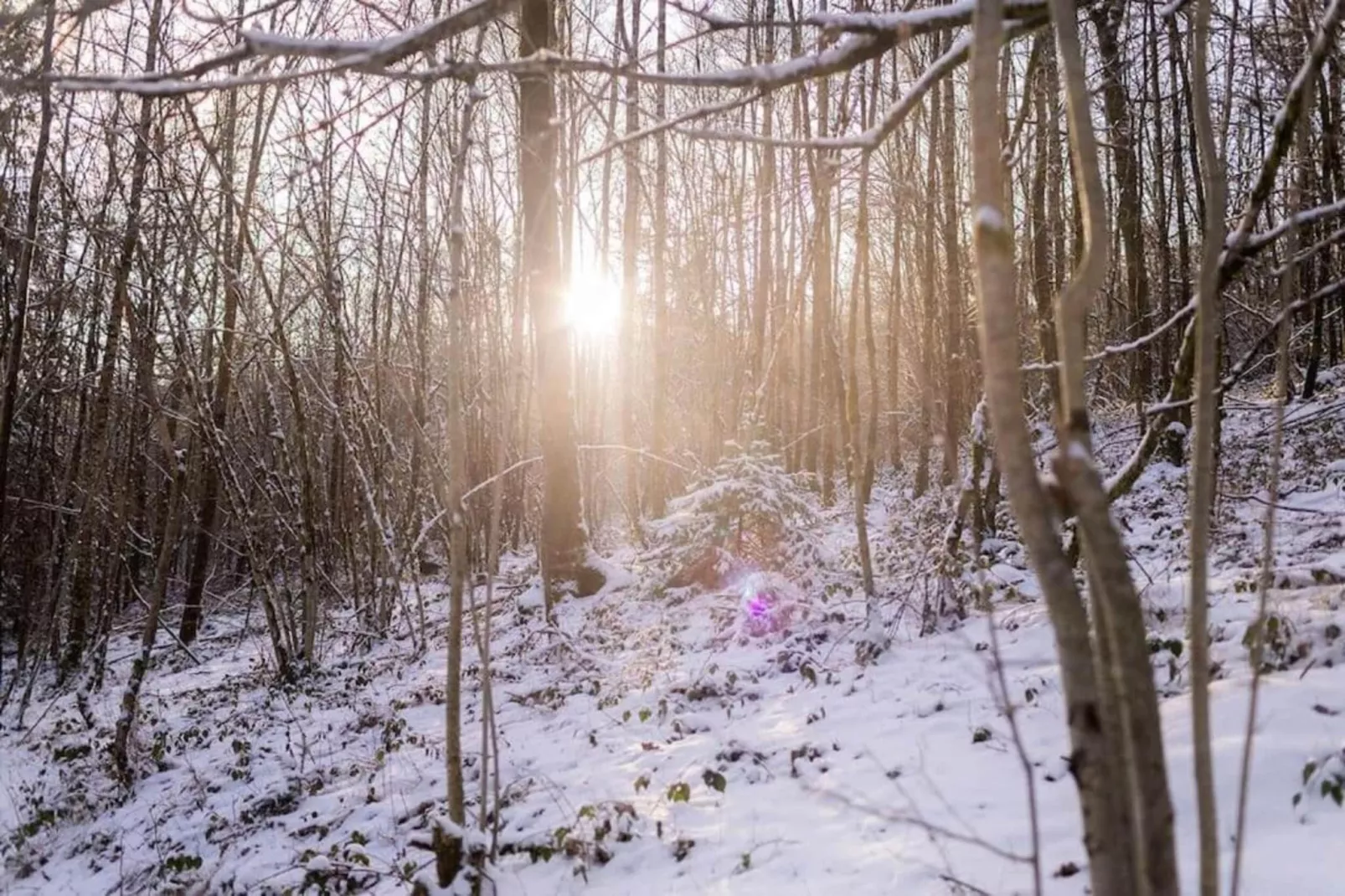 Leora Cocoon-Area within 20km in winter