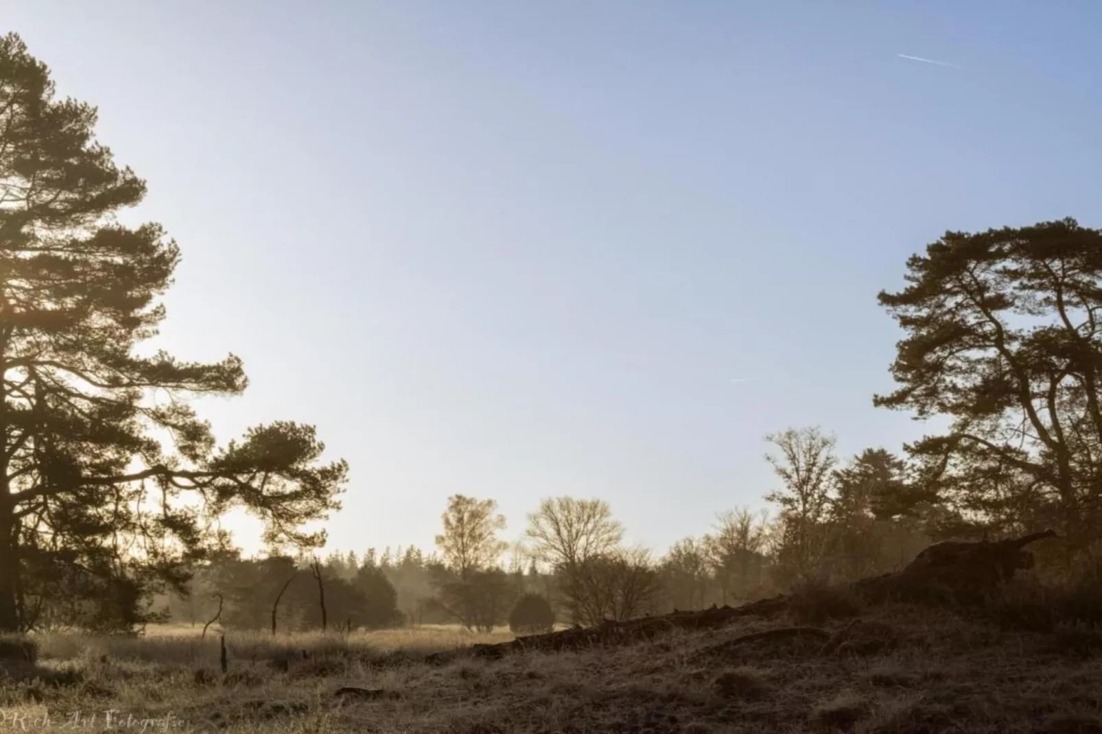 Hulshorsterhout-Areas within 20km in summer