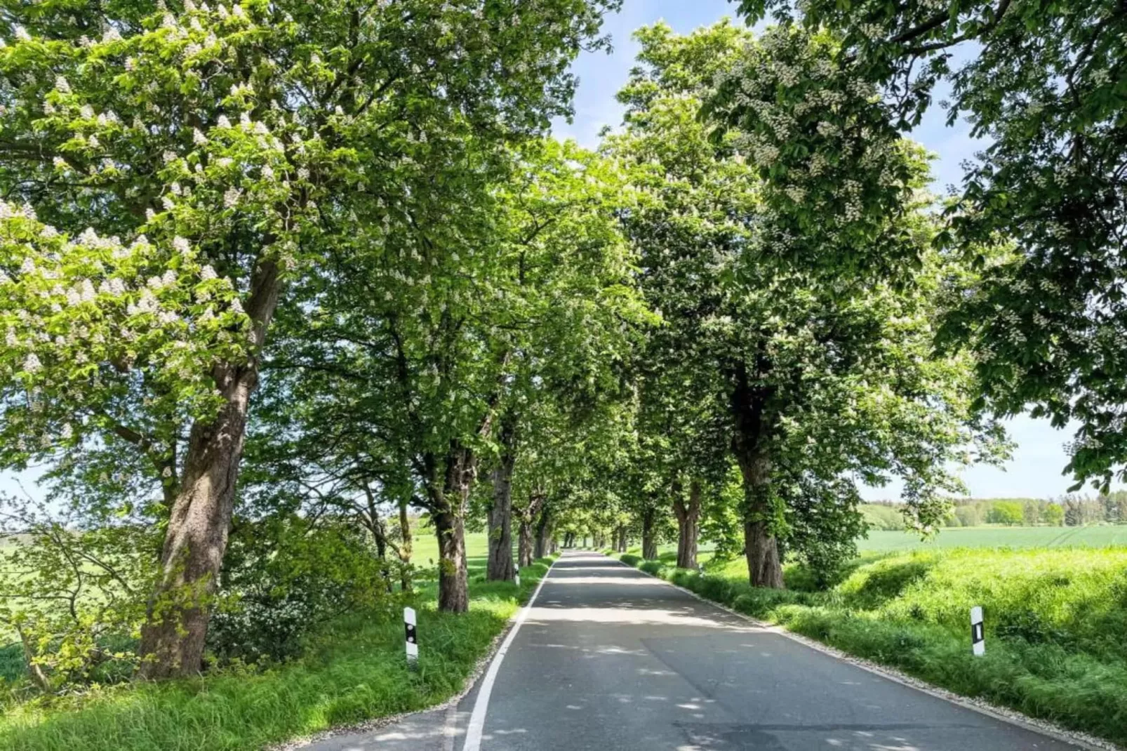 Ferienwohnung Carinerland-Areas within 20km in summer