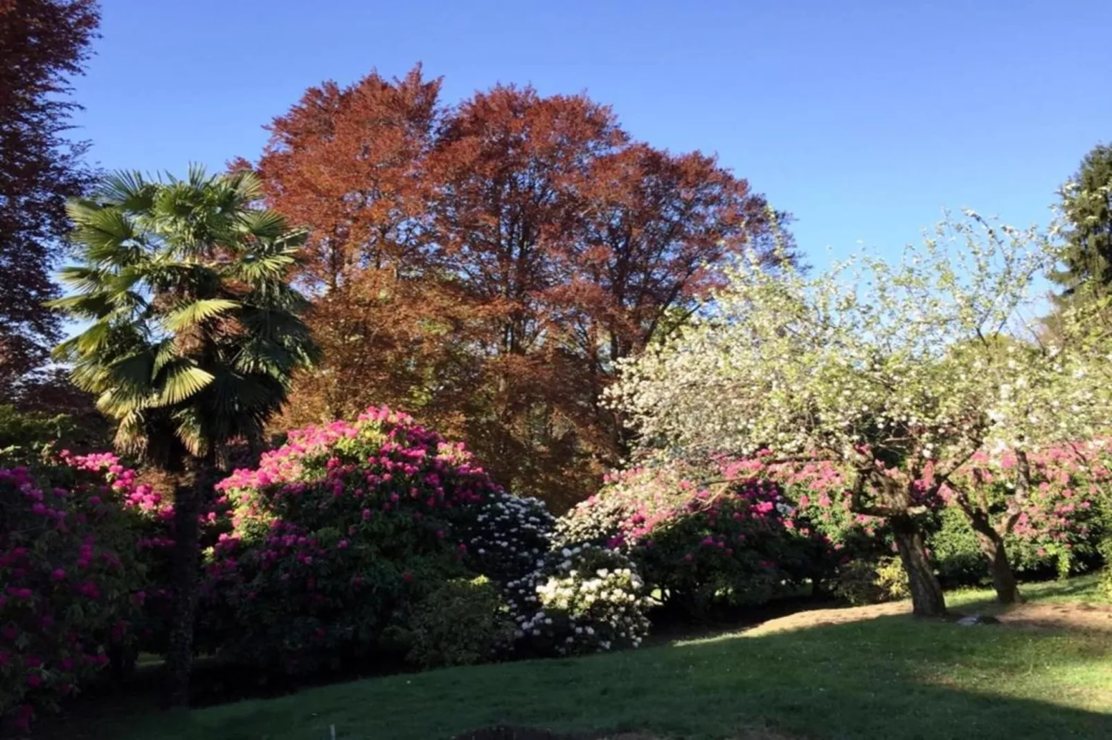 Villa Grandi app Vignone-Areas within 20km in summer