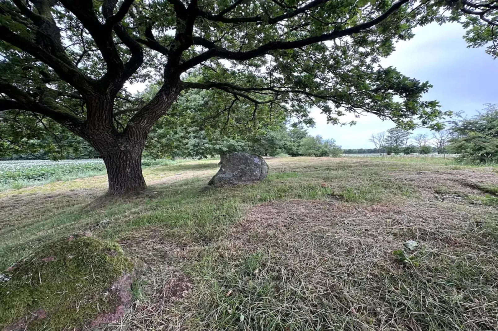 4 person holiday home in Hovborg-By Traum