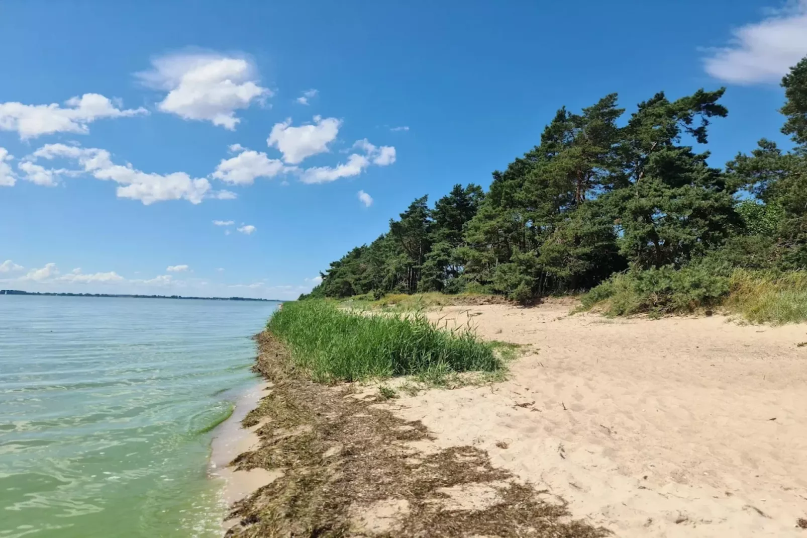 Gutshaus Zicker -Wohnung 3-Areas within 5km in summer