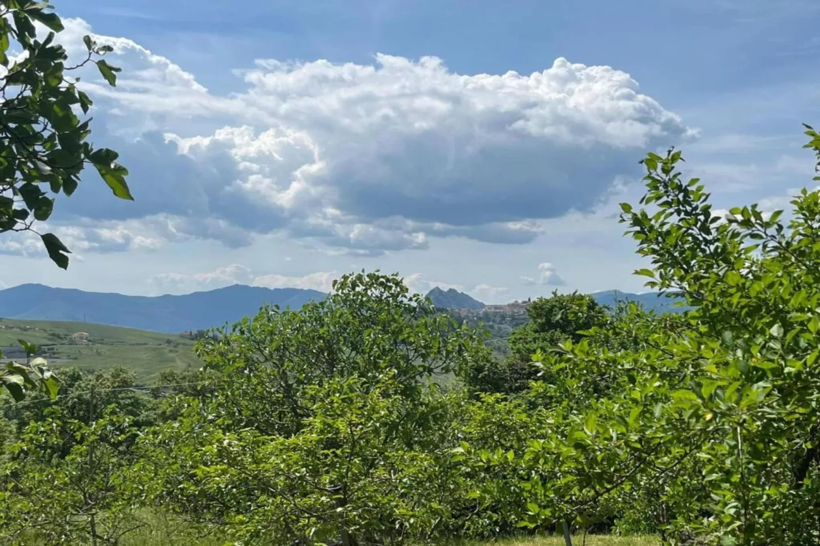 La Foresteria di San Leo-Areas within 20km in summer
