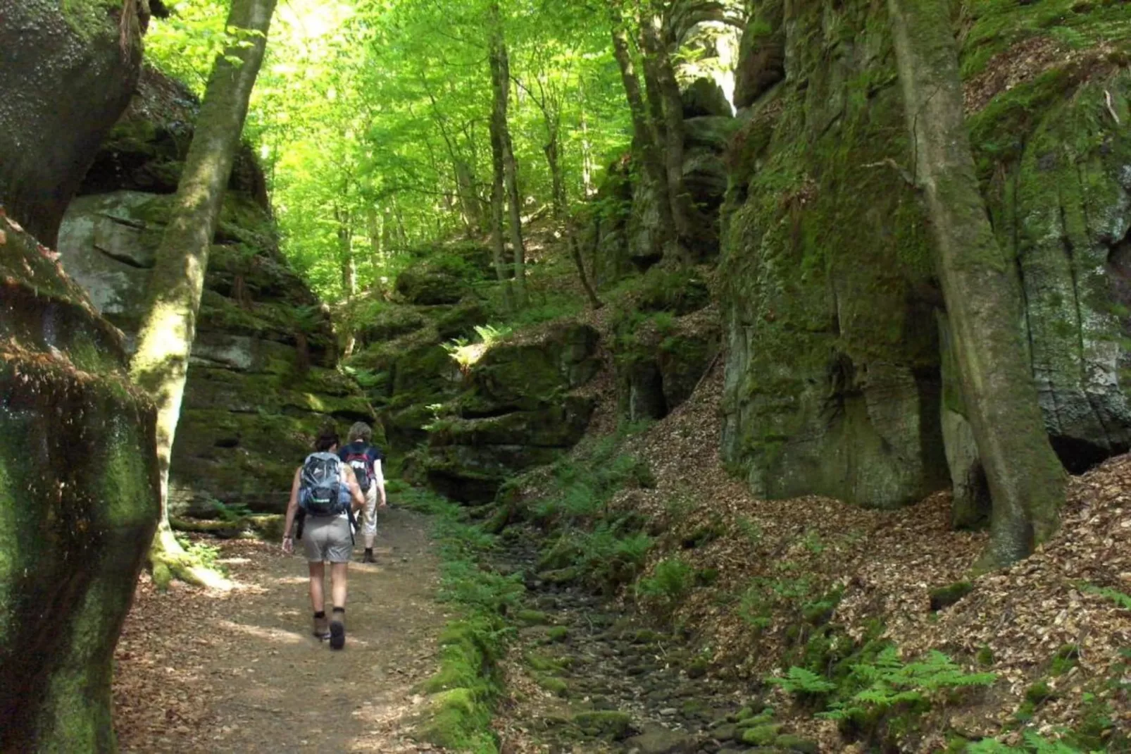 Resort Auf Kengert 1-Areas within 5km in summer