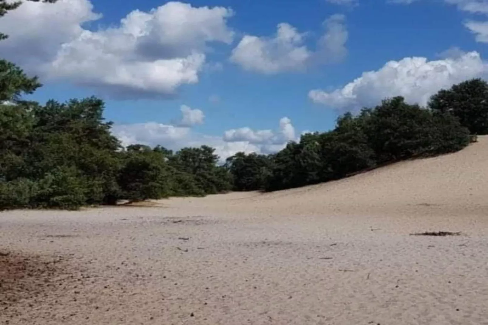 Vakantiepark Sandberghe 12-Gebiete Sommer 20 km