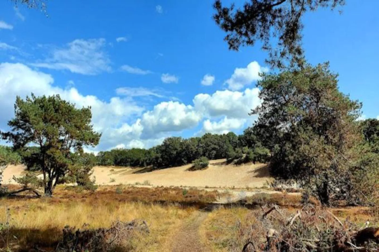 Vakantiepark Sandberghe 13-Zones été à 20 km