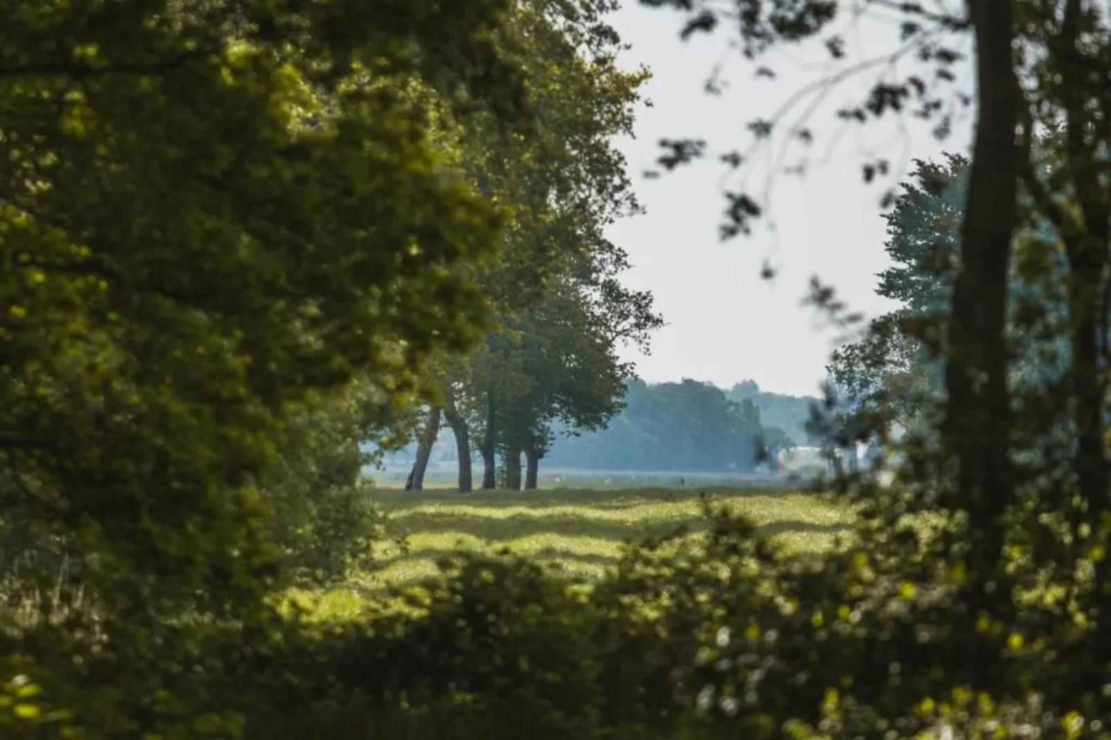 Boshuisje De Koolmees-Areas within 20km in summer
