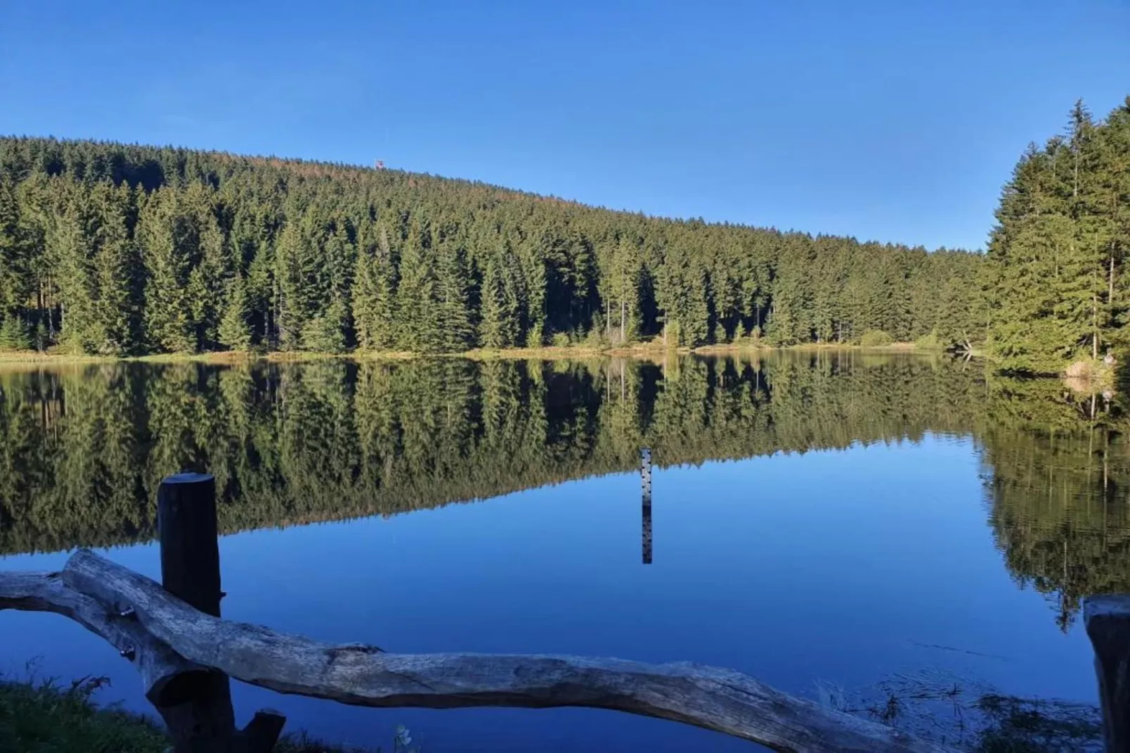 Ferienwohnung Bockwiese-Hahnenklee-Areas within 20km in summer