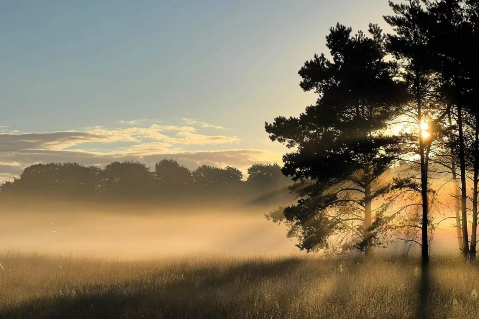 Dwergarend 17-14-Zones été à 20 km