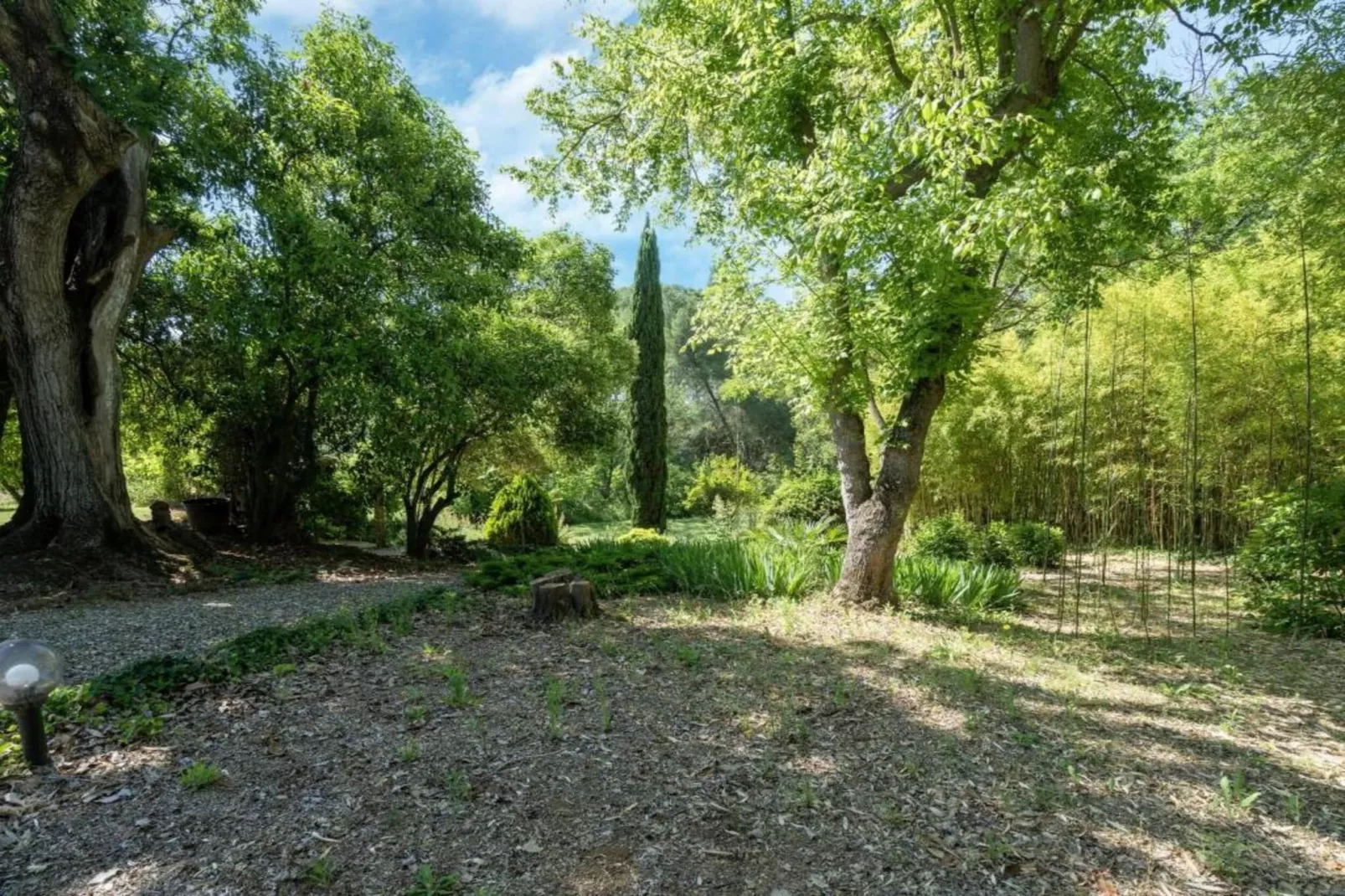 LA BOUSCADE GUESTHOUSE-Areas within 5km in summer