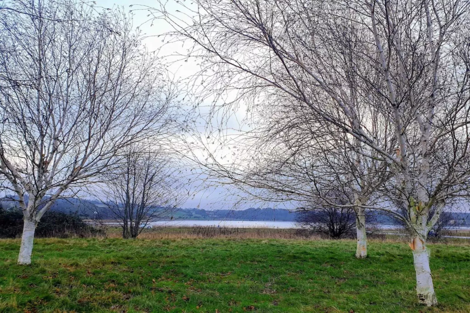 4 Sterne Ferienhaus in Faaborg-By Traum-Wasserblick