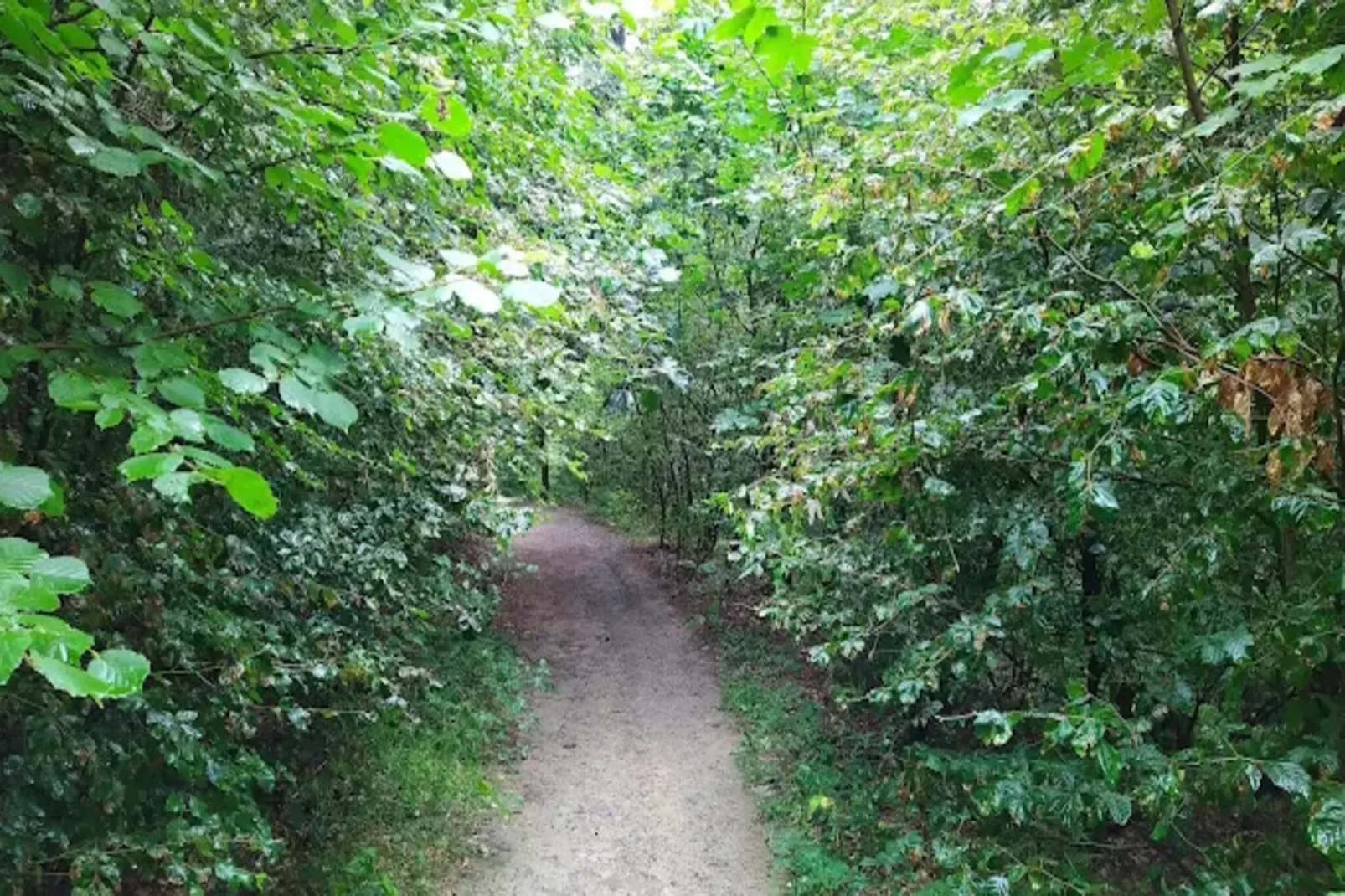 Auszeit Winterberg-Areas within 5km in summer