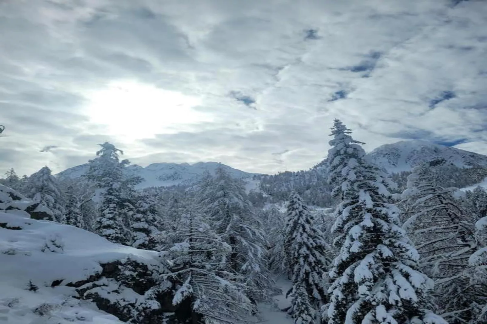Les Terrasses d'Isola 1-Zones hiver à 20 km
