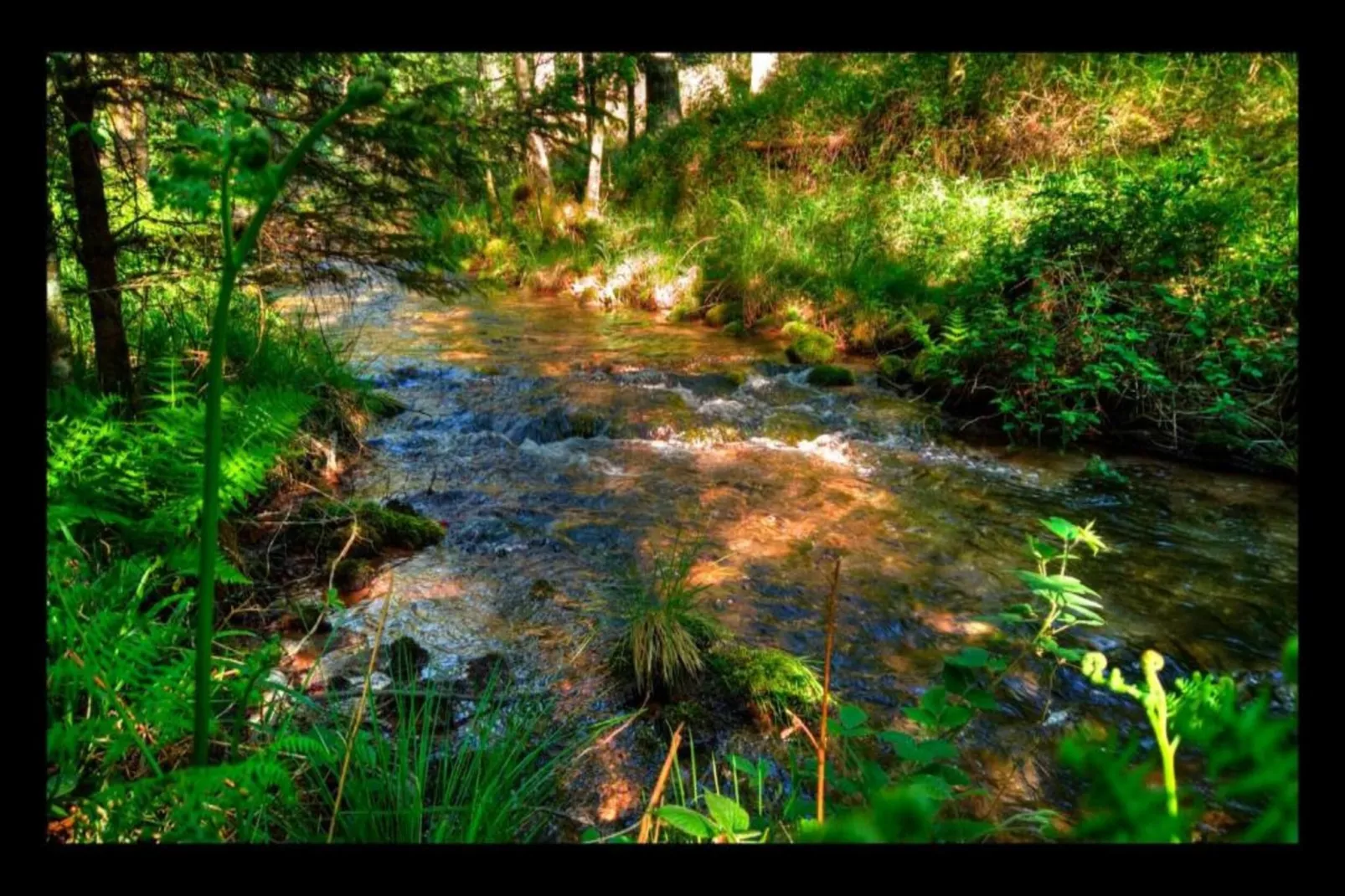 Gîte "Au bord de l'Eau "-Zones été à 20 km