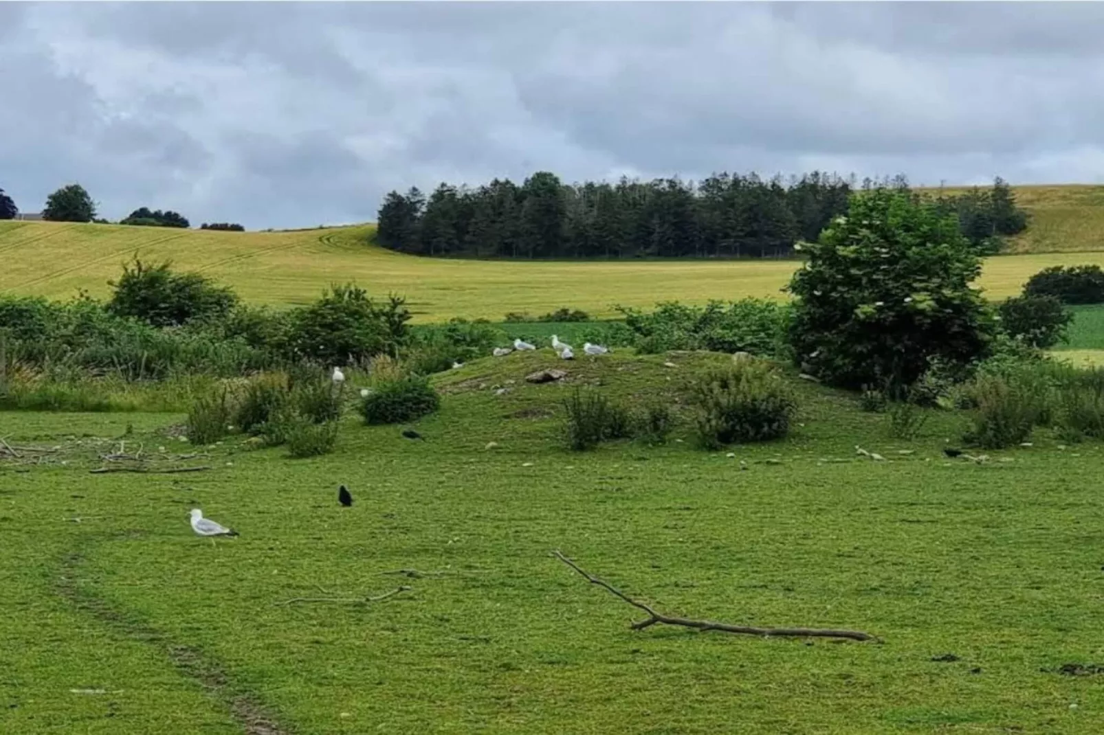 4 person holiday home in Grevinge-By Traum-Untagged