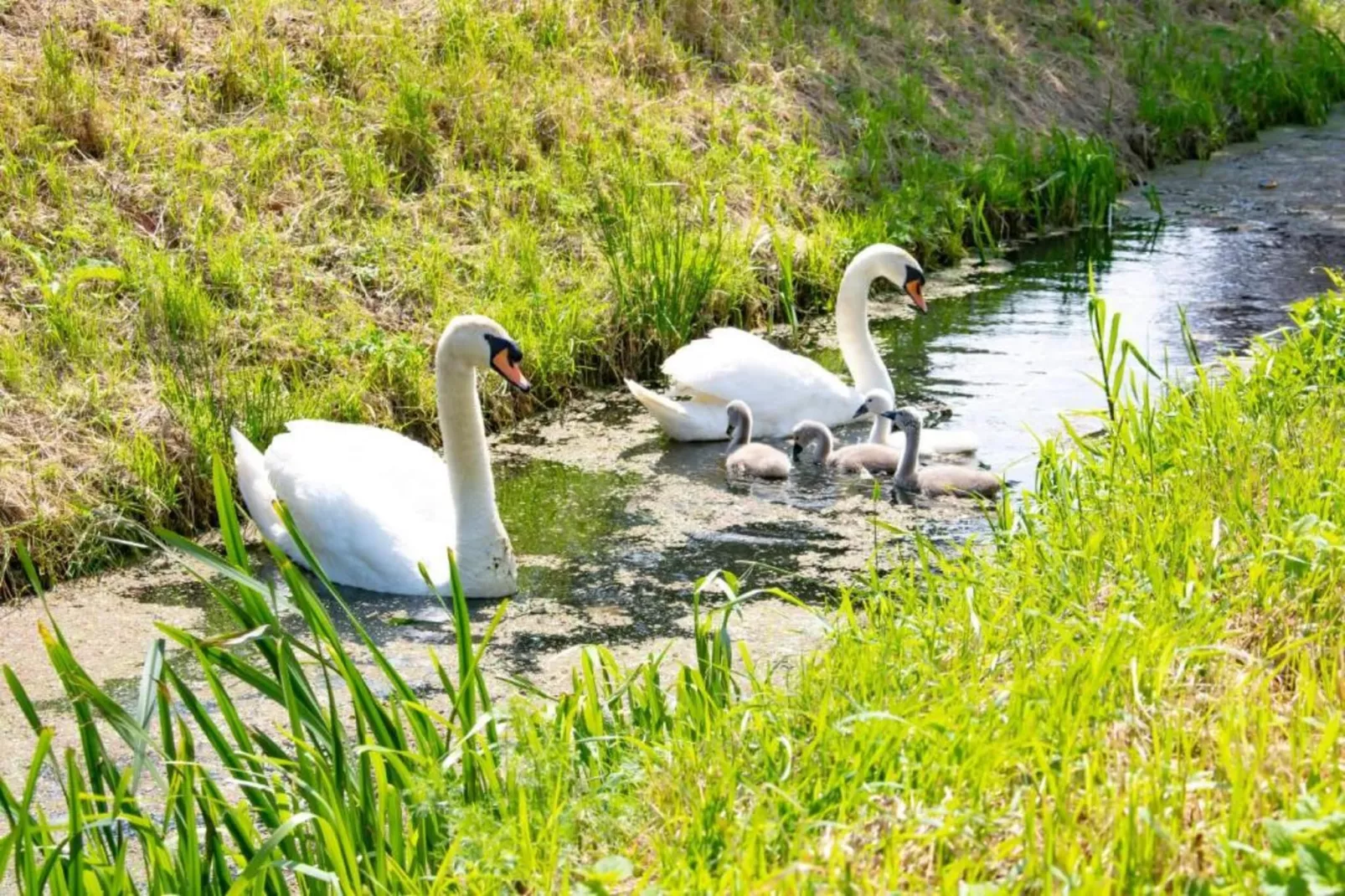 Halseweg 54-Areas within 20km in summer