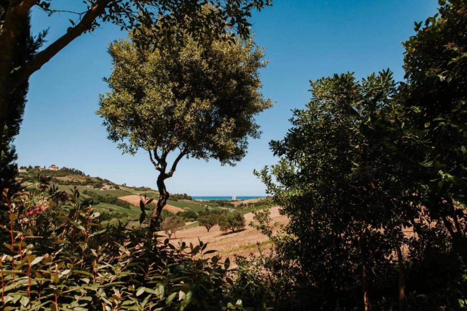 Pepe-Areas within 20km in summer