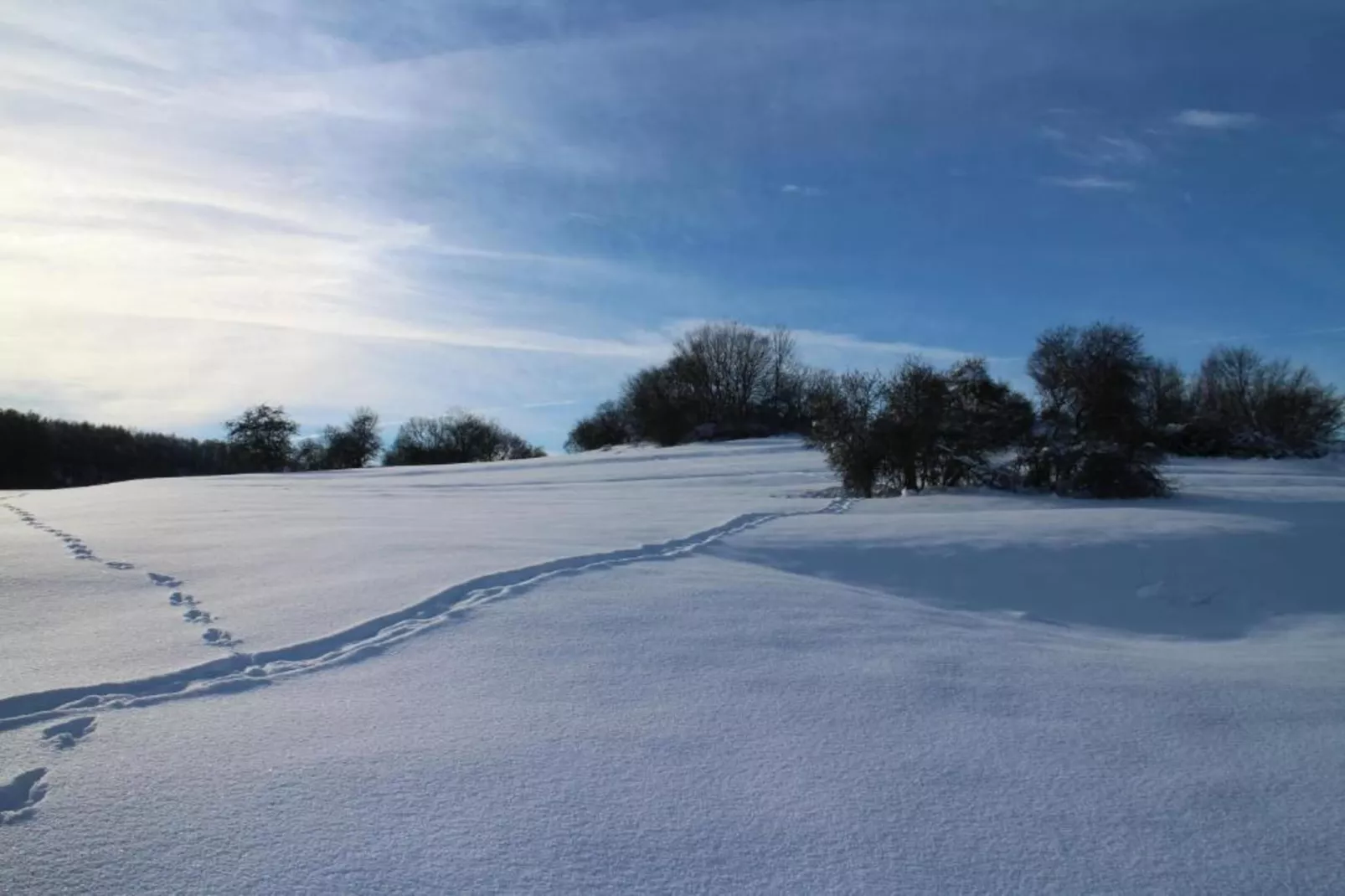 Ferienwohnung Thale-Area within 5km in winter